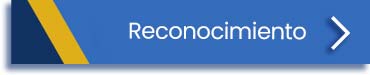 BIU Reconocimientos